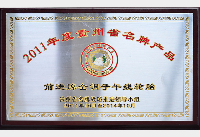 2011年度贵州省名牌产品（前进全钢）