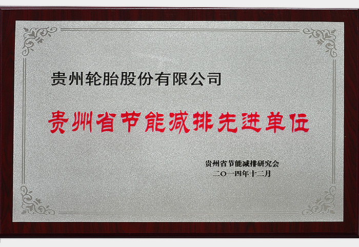 贵州省节能减排先进单位（2014.12）
