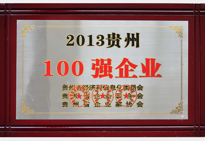 2013贵州100强企业